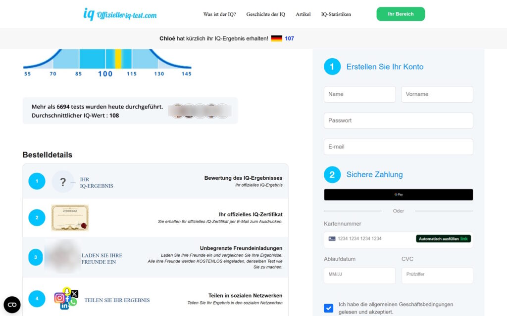 Offizieller IQ Test